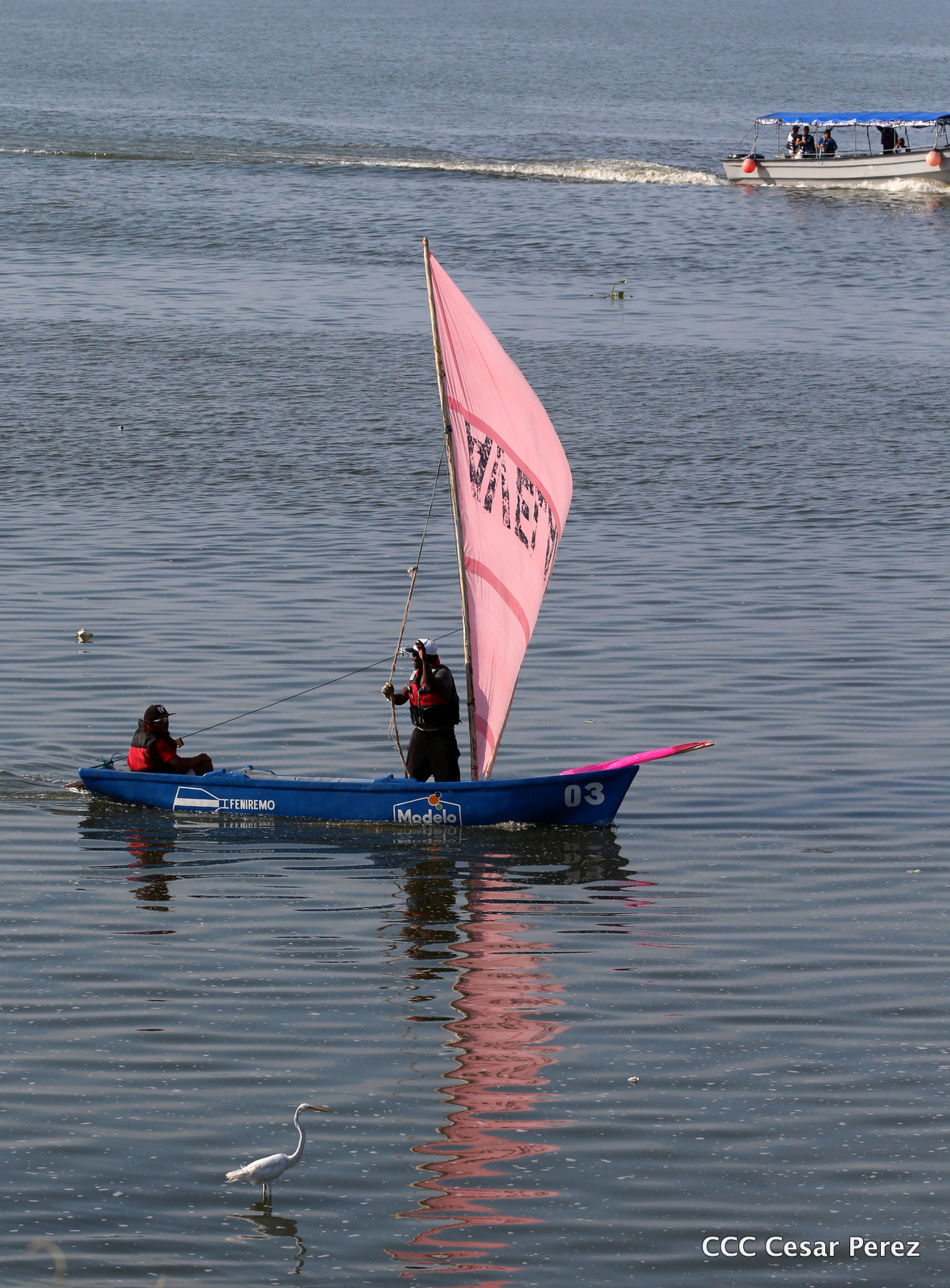 Vela1